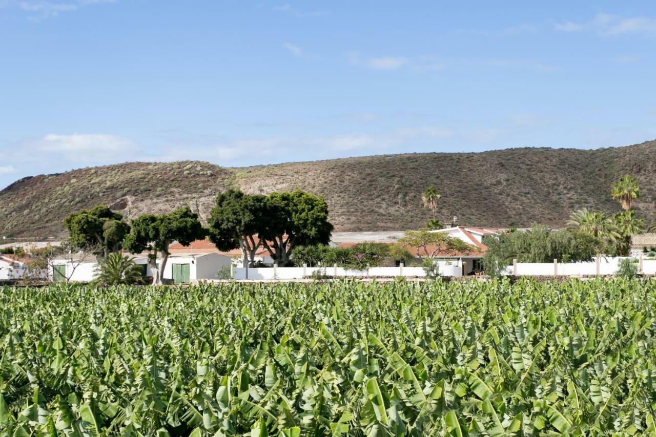 Casa Maria - Caserio De Guaza Palm-mar Εξωτερικό φωτογραφία